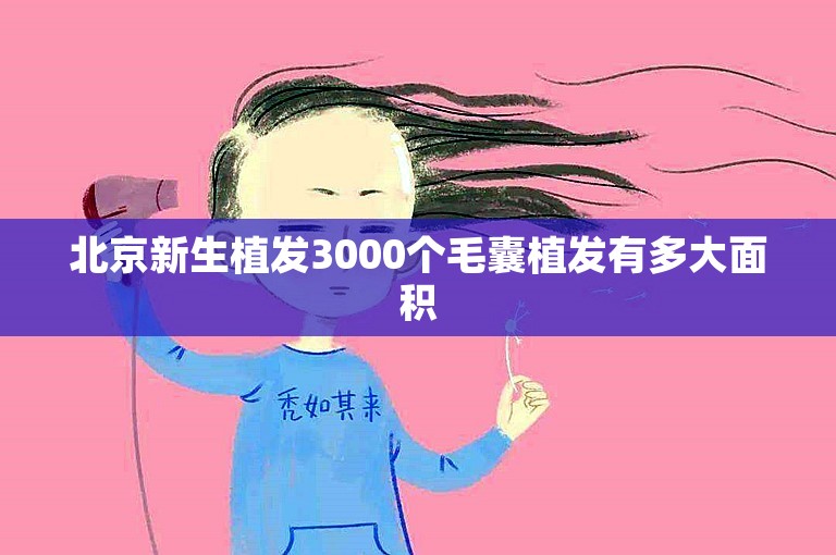 北京新生植发3000个毛囊植发有多大面积