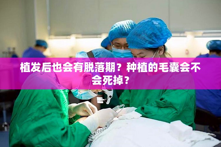 徐州有名的植发医院怎么选
