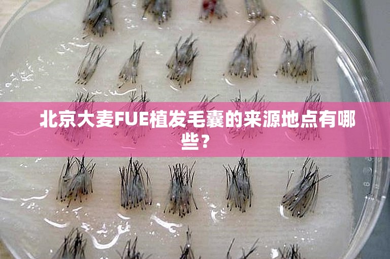  北京大麦FUE植发毛囊的来源地点有哪些？