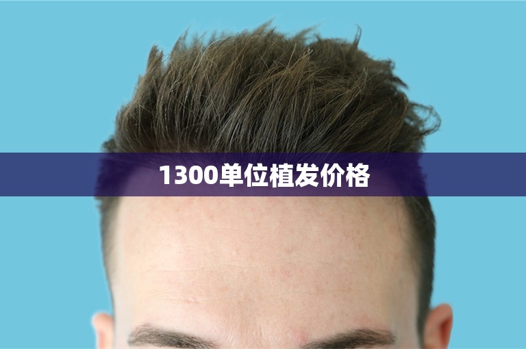 1300单位植发价格