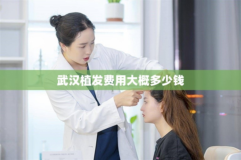 宁波最安全的植发门诊选择方案