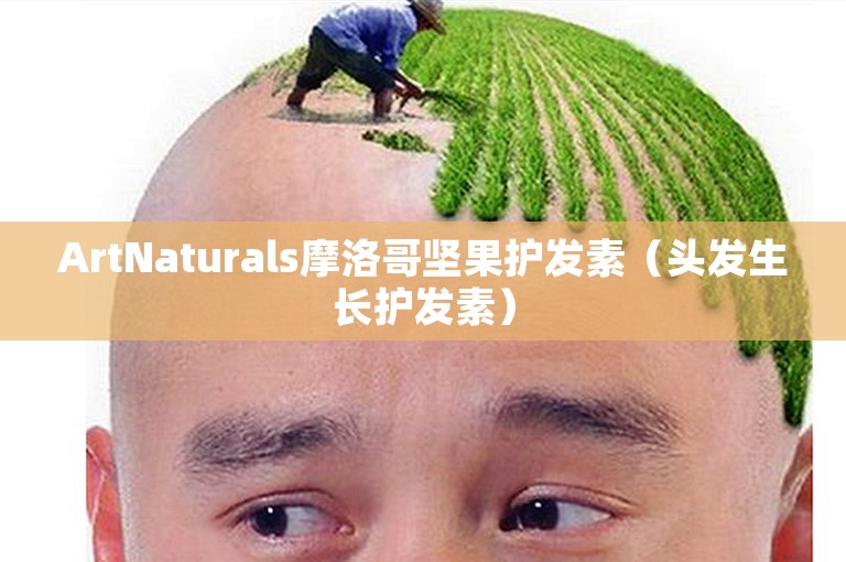 解读石家庄植发加密价格