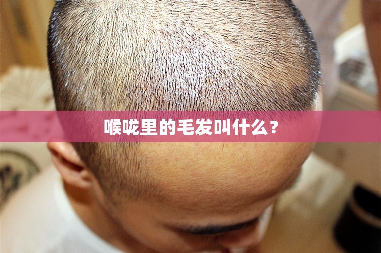中国植发要多少钱3000根左右：医生详解植发手术流程及费用