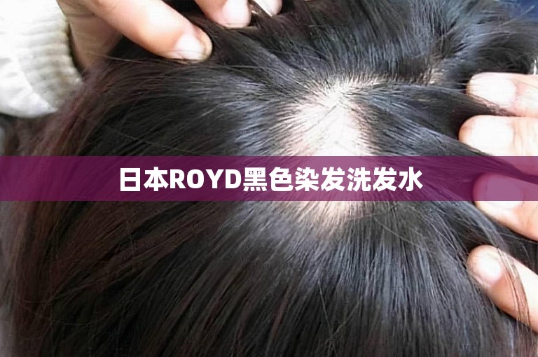 日本ROYD黑色染发洗发水