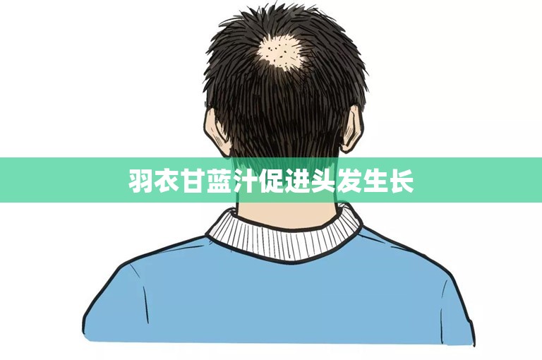 上海种植发际线多少钱？
