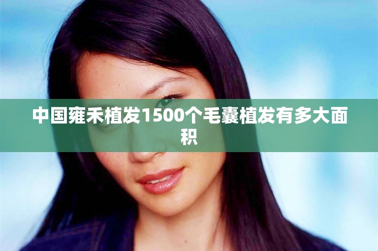 中国雍禾植发1500个毛囊植发有多大面积