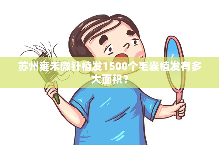 苏州雍禾微针植发1500个毛囊植发有多大面积？