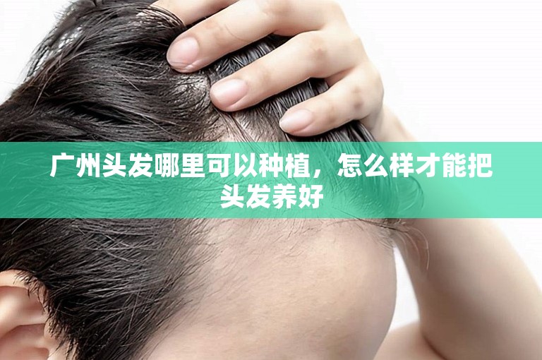 广州头发哪里可以种植，怎么样才能把头发养好