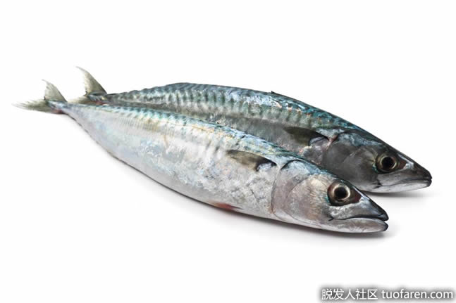 鱼油和胆固醇之间有什么联系？